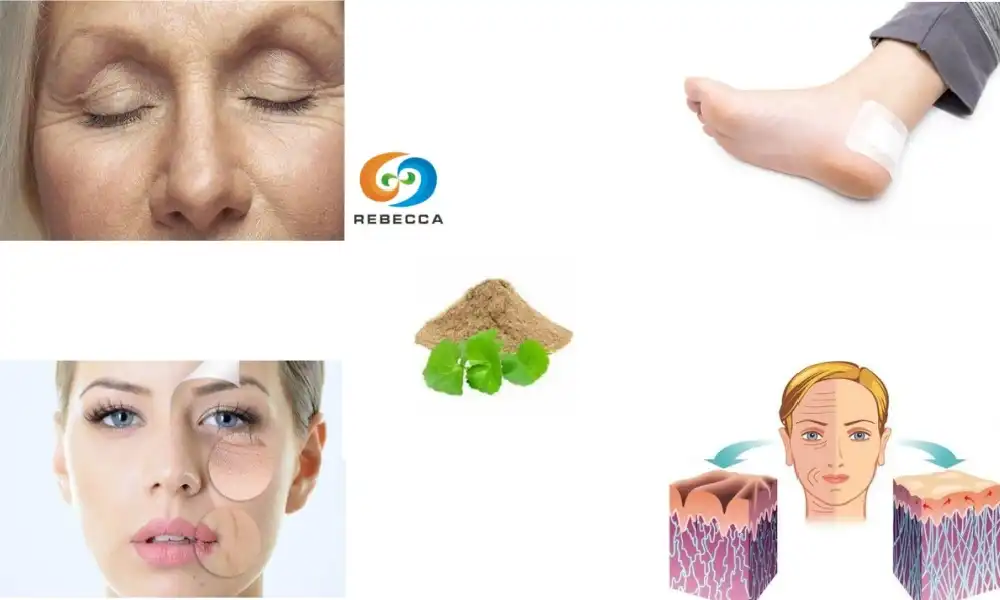 How is gotu kola good for skin?